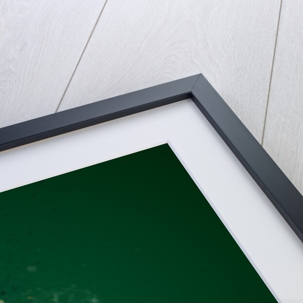 Neon Flare one by Jason Pooley